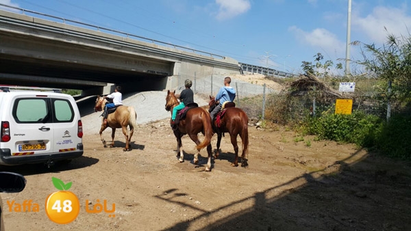 roben tabee3ar (4).JPG